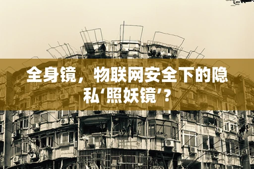 全身镜，物联网安全下的隐私‘照妖镜’？