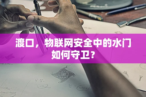 渡口，物联网安全中的水门如何守卫？