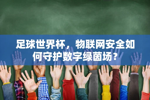 足球世界杯，物联网安全如何守护数字绿茵场？