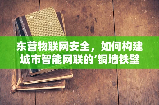 东营物联网安全，如何构建城市智能网联的‘铜墙铁壁’？