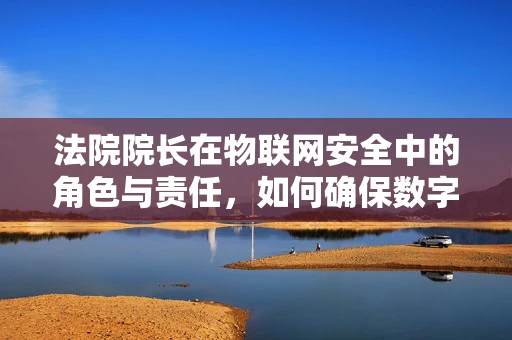法院院长在物联网安全中的角色与责任，如何确保数字正义的坚固防线？