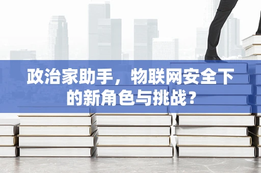 政治家助手，物联网安全下的新角色与挑战？