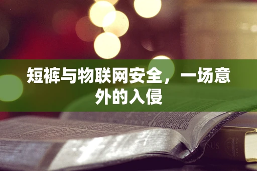 短裤与物联网安全，一场意外的入侵