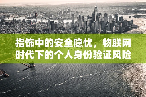 指饰中的安全隐忧，物联网时代下的个人身份验证风险？