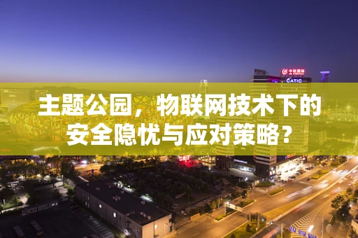 主题公园，物联网技术下的安全隐忧与应对策略？