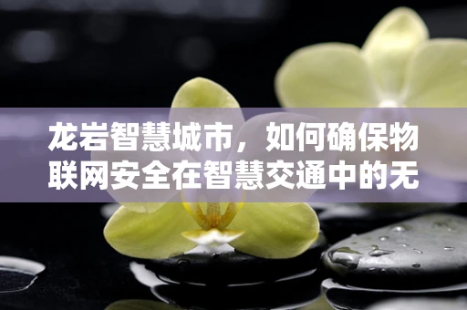 龙岩智慧城市，如何确保物联网安全在智慧交通中的无缝融合？