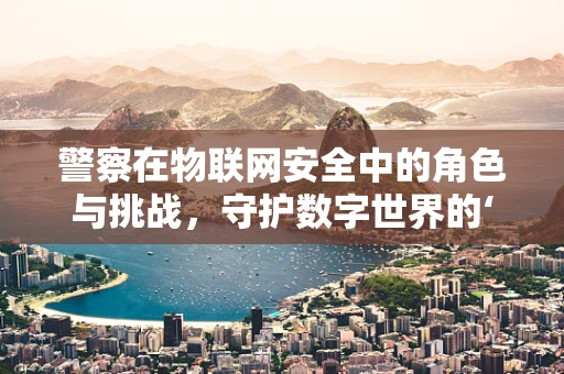 警察在物联网安全中的角色与挑战，守护数字世界的‘蓝盾’