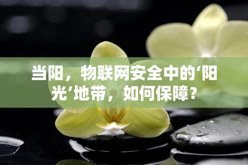 当阳，物联网安全中的‘阳光’地带，如何保障？