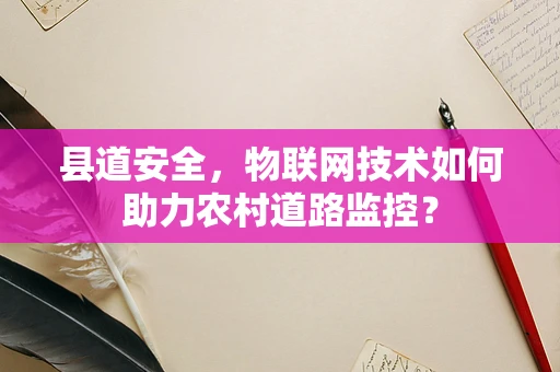 县道安全，物联网技术如何助力农村道路监控？