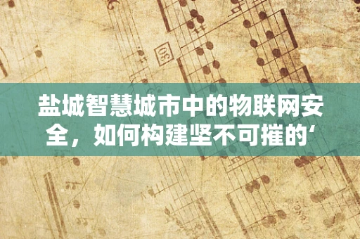 盐城智慧城市中的物联网安全，如何构建坚不可摧的‘数字防线’？