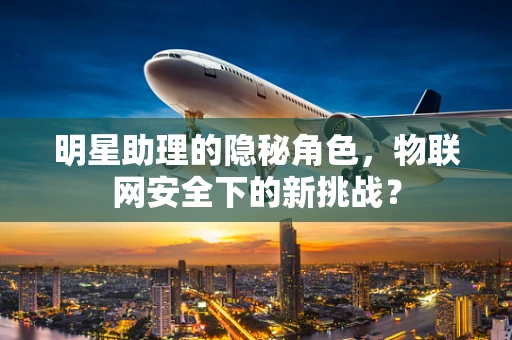 明星助理的隐秘角色，物联网安全下的新挑战？