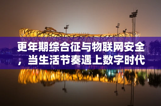 更年期综合征与物联网安全，当生活节奏遇上数字时代的‘中年危机’