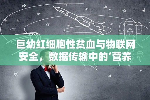 巨幼红细胞性贫血与物联网安全，数据传输中的‘营养’缺失之谜
