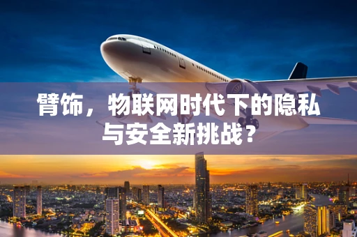 臂饰，物联网时代下的隐私与安全新挑战？