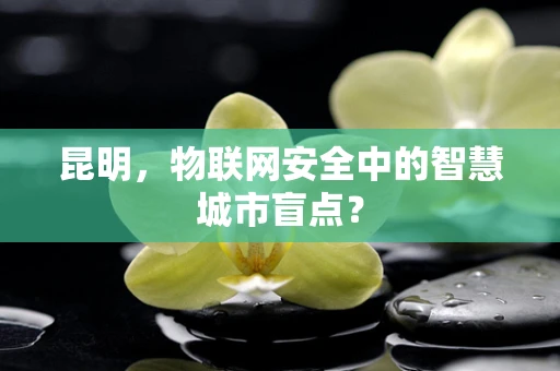 昆明，物联网安全中的智慧城市盲点？