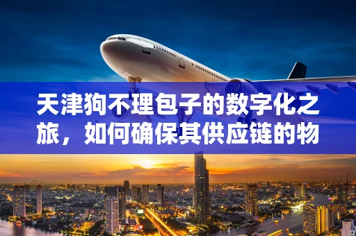 天津狗不理包子的数字化之旅，如何确保其供应链的物联网安全？