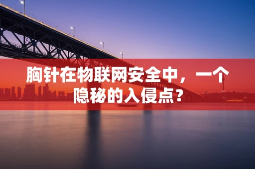 胸针在物联网安全中，一个隐秘的入侵点？