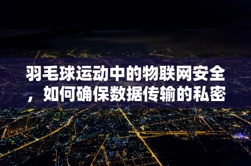 羽毛球运动中的物联网安全，如何确保数据传输的私密与安全？