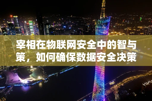 宰相在物联网安全中的智与策，如何确保数据安全决策的智慧性？