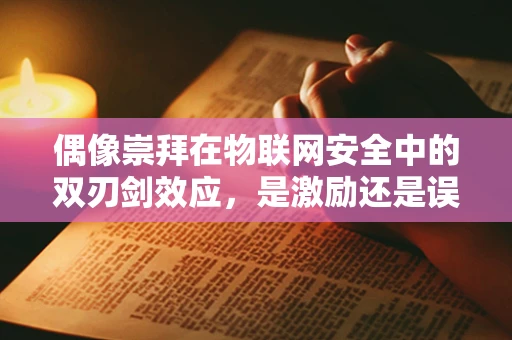 偶像崇拜在物联网安全中的双刃剑效应，是激励还是误导？