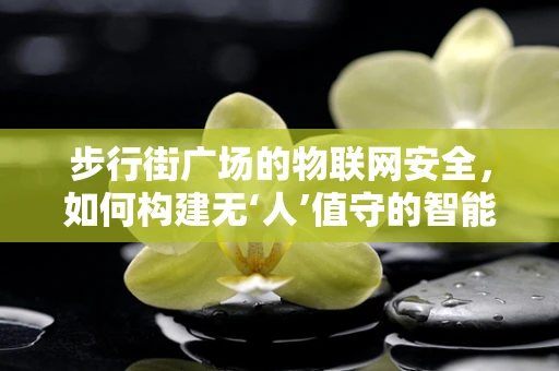 步行街广场的物联网安全，如何构建无‘人’值守的智能守护？