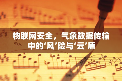 物联网安全，气象数据传输中的‘风’险与‘云’盾