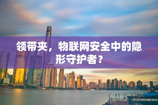 领带夹，物联网安全中的隐形守护者？