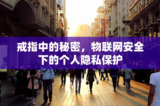 戒指中的秘密，物联网安全下的个人隐私保护