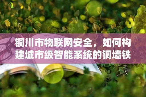 铜川市物联网安全，如何构建城市级智能系统的铜墙铁壁？