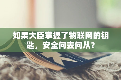 如果大臣掌握了物联网的钥匙，安全何去何从？