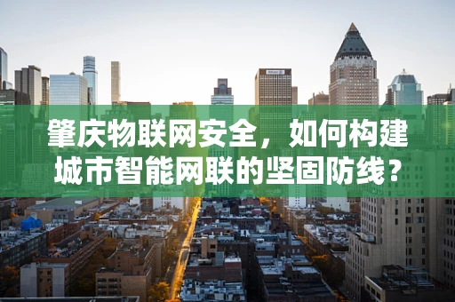 肇庆物联网安全，如何构建城市智能网联的坚固防线？