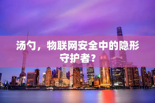 汤勺，物联网安全中的隐形守护者？