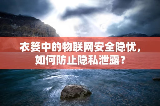 衣篓中的物联网安全隐忧，如何防止隐私泄露？