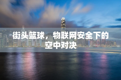 街头篮球，物联网安全下的空中对决