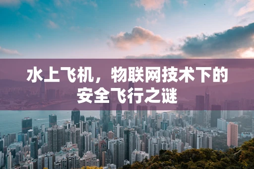 水上飞机，物联网技术下的安全飞行之谜