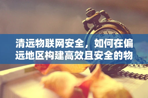 清远物联网安全，如何在偏远地区构建高效且安全的物联网基础设施？