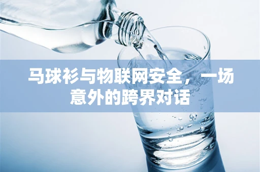 马球衫与物联网安全，一场意外的跨界对话