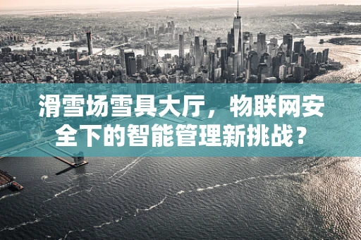 滑雪场雪具大厅，物联网安全下的智能管理新挑战？