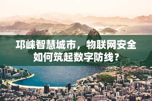 邛崃智慧城市，物联网安全如何筑起数字防线？