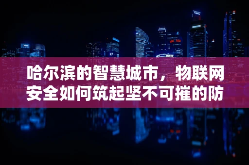 哈尔滨的智慧城市，物联网安全如何筑起坚不可摧的防线？