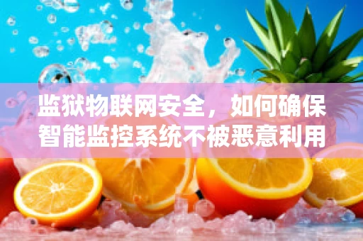 监狱物联网安全，如何确保智能监控系统不被恶意利用？