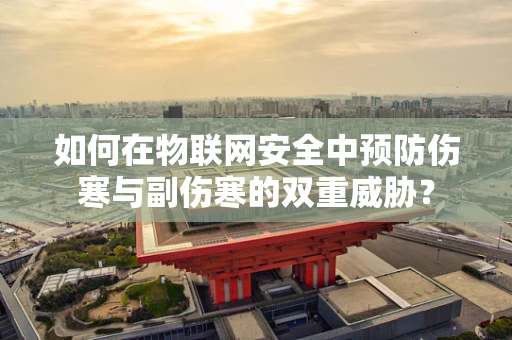如何在物联网安全中预防伤寒与副伤寒的双重威胁？