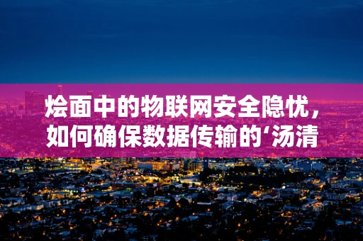 烩面中的物联网安全隐忧，如何确保数据传输的‘汤清面净’？