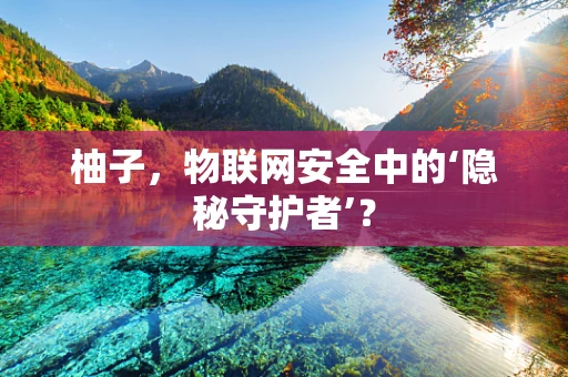 柚子，物联网安全中的‘隐秘守护者’？