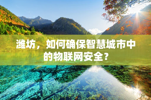 潍坊，如何确保智慧城市中的物联网安全？