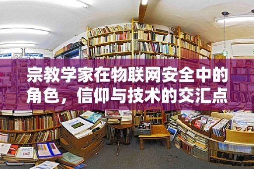 宗教学家在物联网安全中的角色，信仰与技术的交汇点？