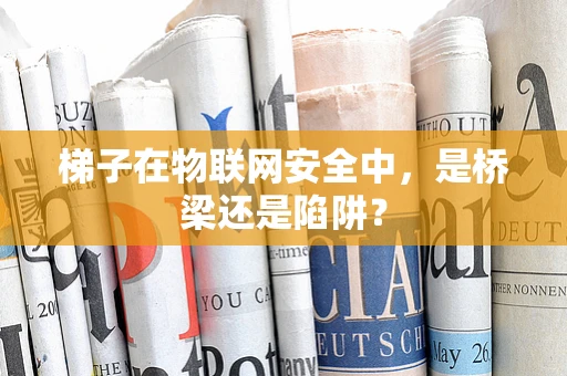 梯子在物联网安全中，是桥梁还是陷阱？