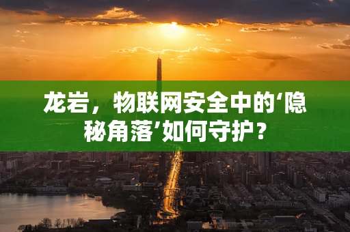 龙岩，物联网安全中的‘隐秘角落’如何守护？