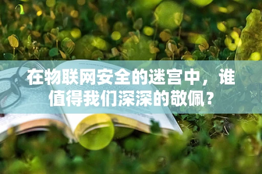 在物联网安全的迷宫中，谁值得我们深深的敬佩？