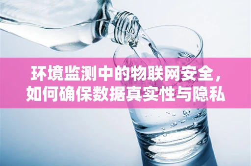 环境监测中的物联网安全，如何确保数据真实性与隐私？